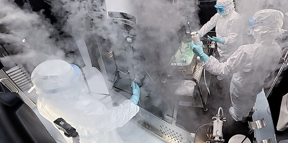 Fase 4 - In operation