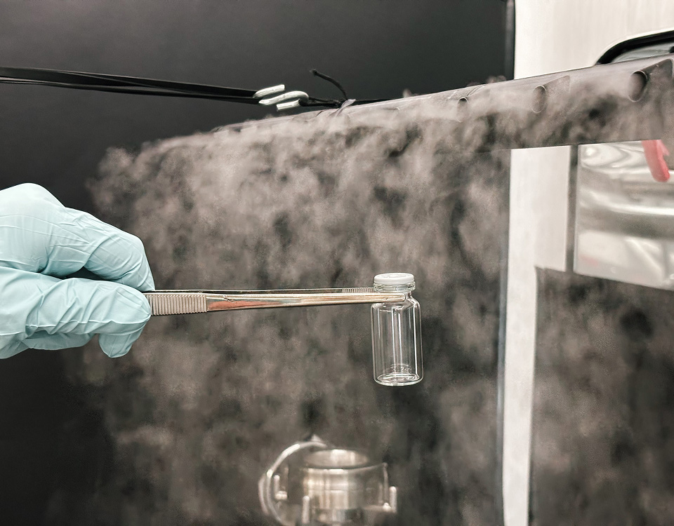 Smoke Test - Come funziona